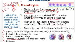 Pathophysiology  Inflammatory Response and Fever  Ch 3 [upl. by Euqinot726]