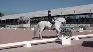 Patterson Dressage Music  The Sound of Music 2017 Inter 1 Freestyle [upl. by Frechette209]