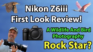 Nikon Z6iii Review For Wildlife And Bird Photographers First Look Review [upl. by Ahab665]