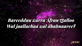 HACAALUU HUNDEESSAA  WAL DHABNAAREE  Lyrics [upl. by Burleigh738]