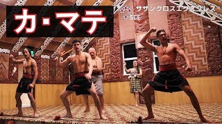 【迫力満点！カマテ】ニュージーランド本場のハカ 歌詞付き Ka Mate Vlog 50 [upl. by Crawley]