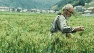 Masanobu Fukuoka rice and orchard techniques [upl. by Roshelle]