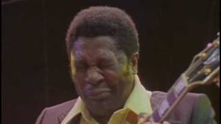 BB King  I Believe To My Soul  Live in Africa 1974 [upl. by Ole]