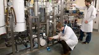 Lobster Pasteurization at BIOFOODTECH [upl. by Anair]