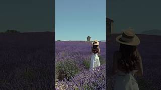 I left a piece of my heart in Provence France 💜✨ lavender provence manosque valensole [upl. by Inama]