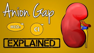 Anion Gap EXPLAINED [upl. by Shaylyn]