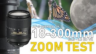 Zoom Test AFS DX Nikkor 18300mm f3563G ED VR [upl. by Ahsitam]