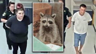 Video shows Florida father daughter stabbing raccoon and lighting it on fire deputies say [upl. by Nnairak]