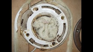 How To Repair A Broken Toilet Flange [upl. by Meara]