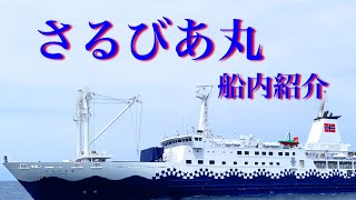 さるびあ丸 船内紹介⛴✨さるびあ丸船内の施設や使い方などを詳しく紹介 [upl. by Nnire]