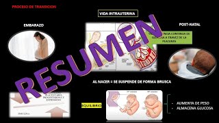 FISIOPATOLOGIA DE LA HIPOGLICEMIA NEONATAL [upl. by Lira154]