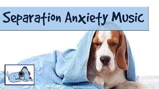 Relaxing Music to Help Cure Separation Anxiety in Dogs Relax My Dog Music [upl. by Tersina866]