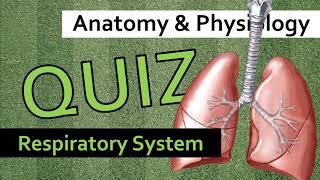 QUIZ Respiratory System  Anatomy amp Physiology [upl. by Ocker]