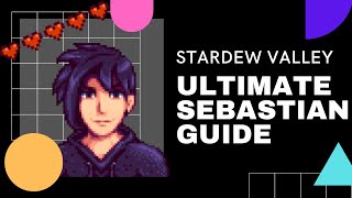 Sebastian Villager Overview Stardew Valley Character Guide [upl. by Sdlonyer]