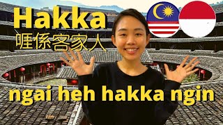 Indonesia Hakka amp Malaysia Hakka [upl. by Gisele]