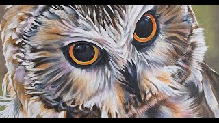 Northern Sawwhet Owl  Acrylics [upl. by Ximena]