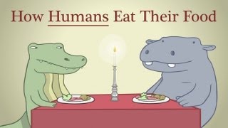 Hippo amp Croc How Humans Eat Their Food [upl. by Flemings]