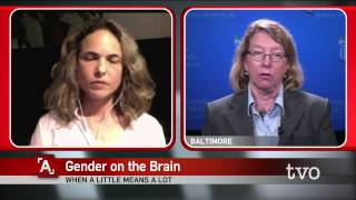 Gender and the Brain [upl. by Powe729]