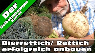 Bierrettich  Rettich erfolgreich anbauen [upl. by Jaal254]