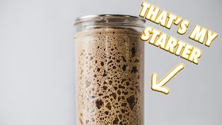 The Ultimate Sourdough Starter Guide [upl. by Tsuda]