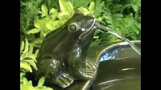 PWF7092 Frog garden fountain solar powered [upl. by Haelat]