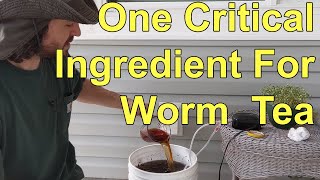 Dont Forget This Critical Ingredient When Brewing Worm Compost Tea [upl. by Nednil950]