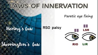 The laws of innervation │Hering’s law │Sherrington’s law [upl. by Sahpec804]