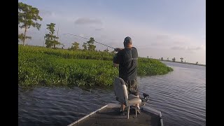 Fishing Manchac Swamp  North Pass  June 30 2020 [upl. by Linders208]