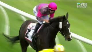 2023 Powerflo Solutions Tesio Stakes G3  Wishlor Lass  威來姑娘  DLane [upl. by Yffat510]