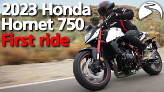 Honda Hornet 2023 Review  BikeSocial [upl. by Jerrie]