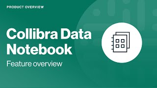 Collibra Data Notebook feature overview [upl. by Esinaj]