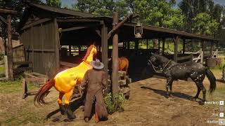 Red dead redemption 2 Horses  How To Tam Horses [upl. by Lytsirhc]