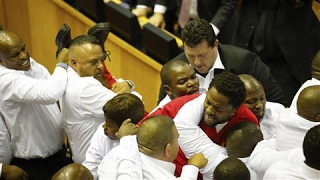 Fighting Breaks Out in South Africas Parliament [upl. by Oibirot]