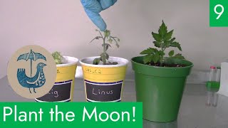 Plant the Moon with Team Rainbird EP 9 [upl. by Yhtrod]