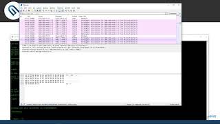 SSH VS TELNET [upl. by Bonnie978]