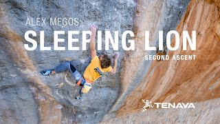 Sleeping Lion  Alex Megos [upl. by Wetzel]