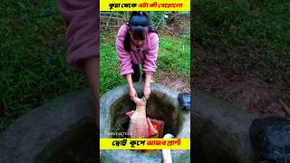 How to build wells for fish rearing 💯 shorts gadgets [upl. by Odnolor]