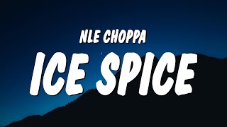 NLE Choppa  Ice Spice Lyrics [upl. by Theodore344]