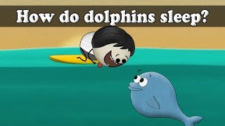 How do dolphins sleep  aumsum kids science education children [upl. by Sidwell]