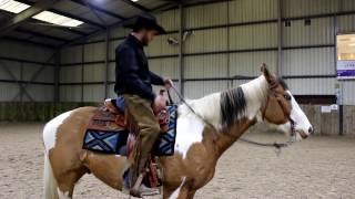 Teaching a Horse To Neck Rein [upl. by Edgell]