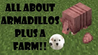 Armadillos scute and farms all you need to know [upl. by Adnaloy]