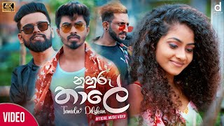 Hitha Heena Hoyagena නුහුරු තාලේ Nuhuru Thaale Tanidu Dilshan Official Music Video [upl. by Rotman790]