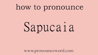 Sapucaia How to pronounce Sapucaia in english correct Start with S Learn from me [upl. by Eeclehc]