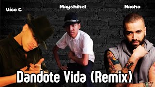 Dandote Vida Remix  Vico C feat Mayshikel  Nacho VISUALIZER By MayshiProd [upl. by Aserahs]