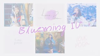 韩中英字幕Blueming  IU【动态歌词Lyrics】 [upl. by Emmit]