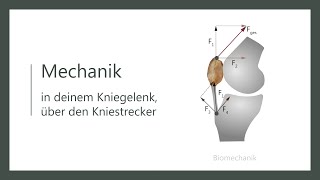 Wie funktioniert dein Knie  Biomechanik  Wirkweise des Quadrizeps  Kniestreckung [upl. by Gussy996]