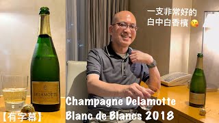 《香檳小知識》Champagne Delamotte Blanc de Blancs 2018 PMPMsLifestyle [upl. by Leamsi405]