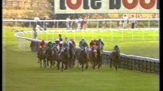 1989 Tote Ebor Handicap [upl. by Amari339]