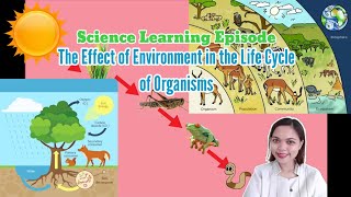 Effect of the Environment on the Life Cycle of Organisms Grade 4 Science Quarter 2 Week 6 [upl. by Enaasiali158]