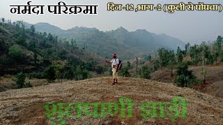 Narmada Parikrama  Day12  भाग 2  SHULPANI JHADI  PART4 कुली से घोंघचा लखनगिरि आश्रम [upl. by Cestar]